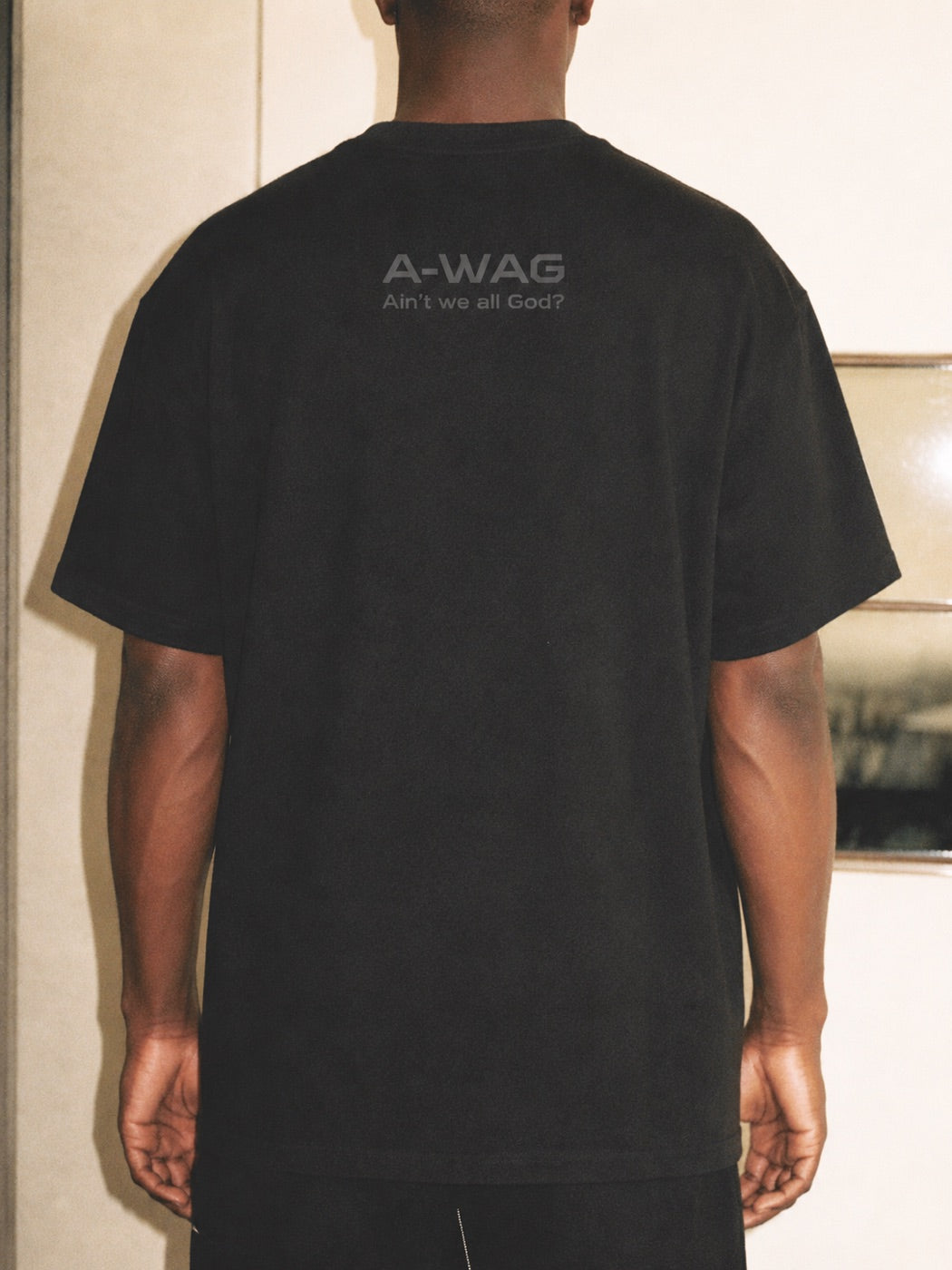 WINDOW — alternate